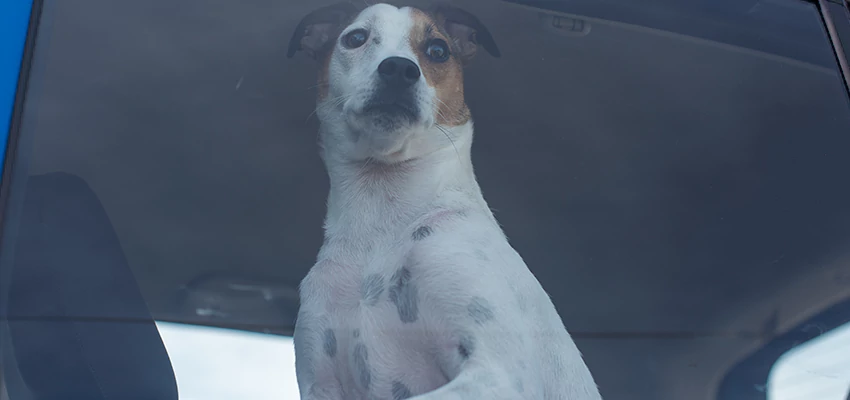 Car Lockout Solutions in Garnet, California