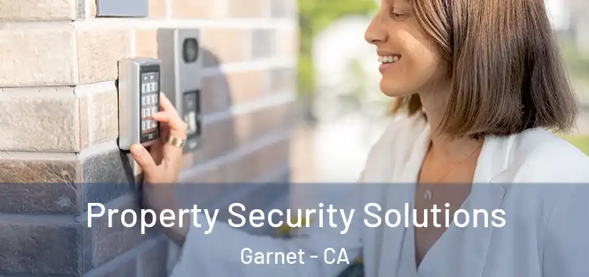  Property Security Solutions Garnet - CA